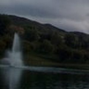 Meet your Posher, Marlene